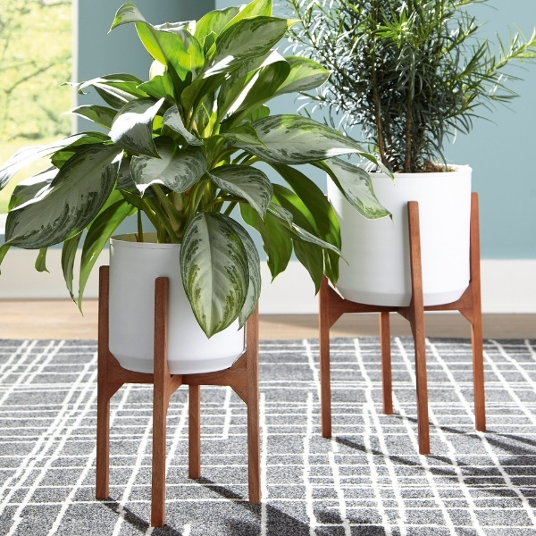 Ashley - Цэцгийн ваар сет A2000427