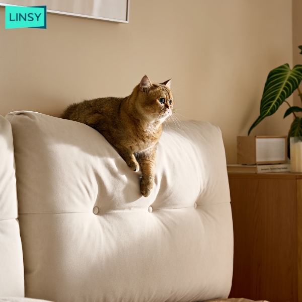 LINSY - Ор /QUEEN/ BC568